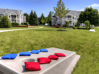 Corn hole / bags game